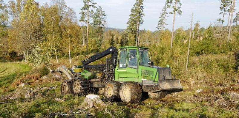 Forestry Clearing in Gwinnett County, GA