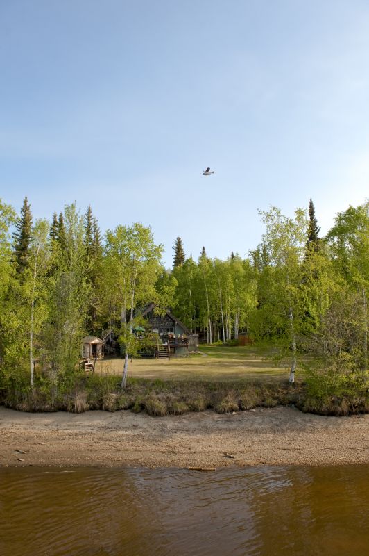 Brush Clearing Service in Marietta, GA