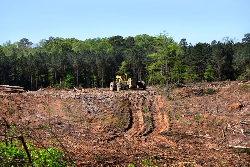 Construction Site Land Clearing in Katy, TX