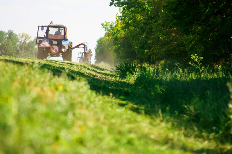 Ground Clearing in Gwinnett County, GA