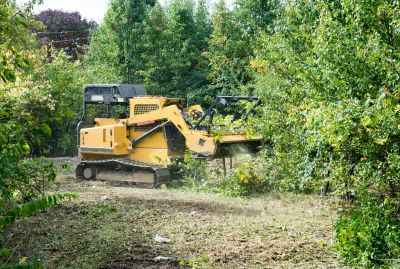 Pool Land Clearing in Utah County, UT